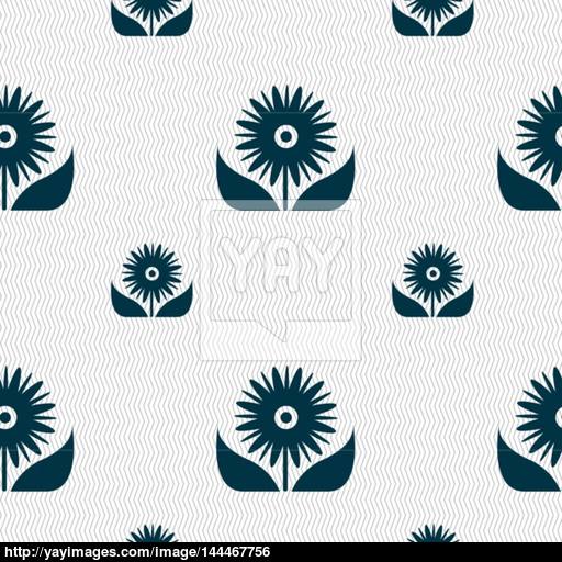 Bouquet Of Flowers With Petals Icon Sign Seamless Pattern