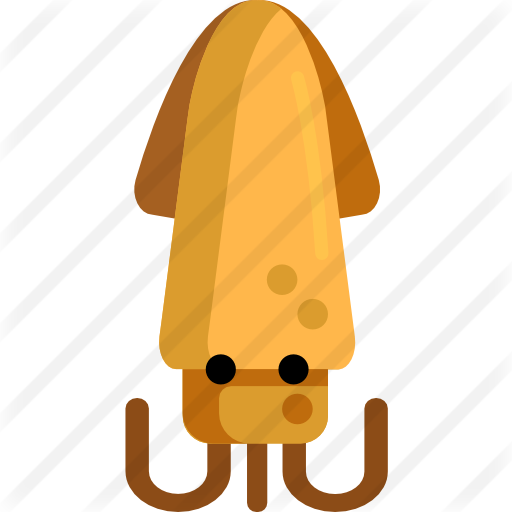 Squid