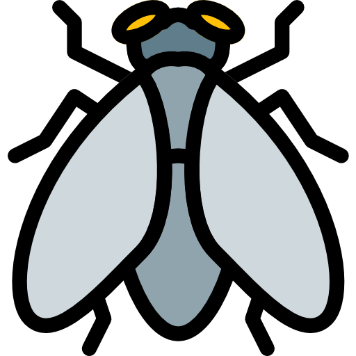 Fly