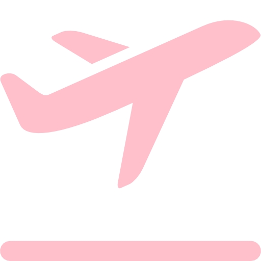 Pink Plane Clipart Collection