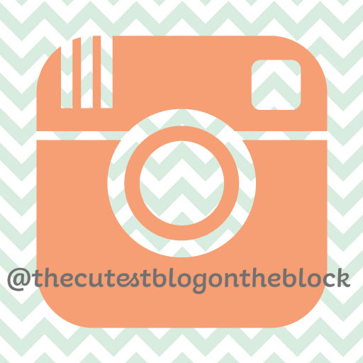 Insta Follow Icon The Cutest Blog On The Block