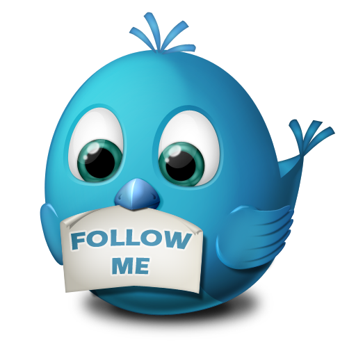 Twitter Follow Me Icon Birdies Iconset Arrioch