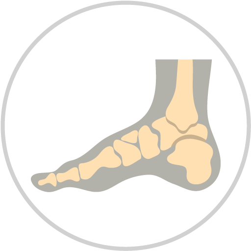 Icon Foot X Ray Circle Border