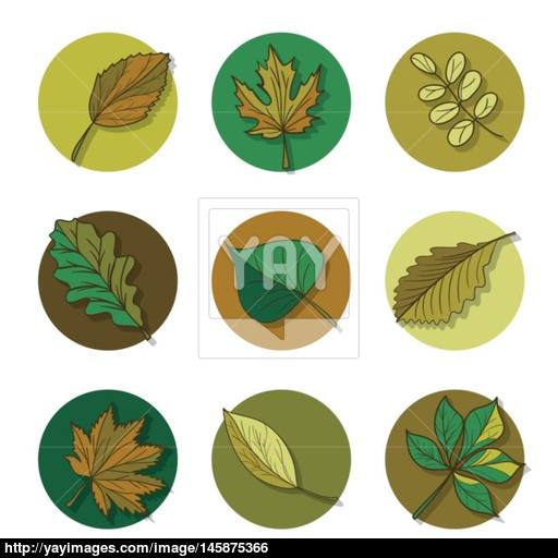 Leaves Icon Green Leaf Of Forest Tree Vector
