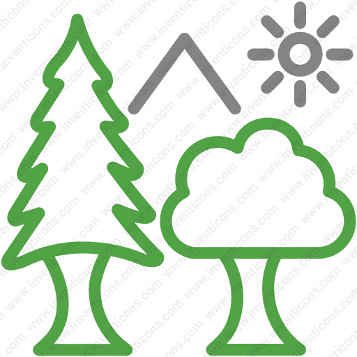 Download Ecology,environment,evergreen,forest,nature,plant,trees