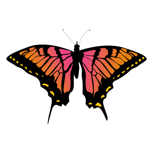 Big Butterfly Icon