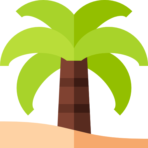 Palm Tree