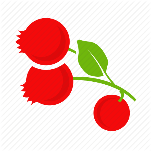 Cranberry Vector Currant Transparent Png Clipart Free Download