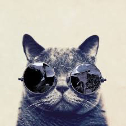 Funny Cat Theme Stickers Keyboard Using Pet Icons To Chat