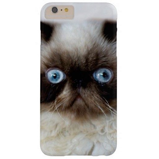 Funny Cat Iphone Plus Case For Girls
