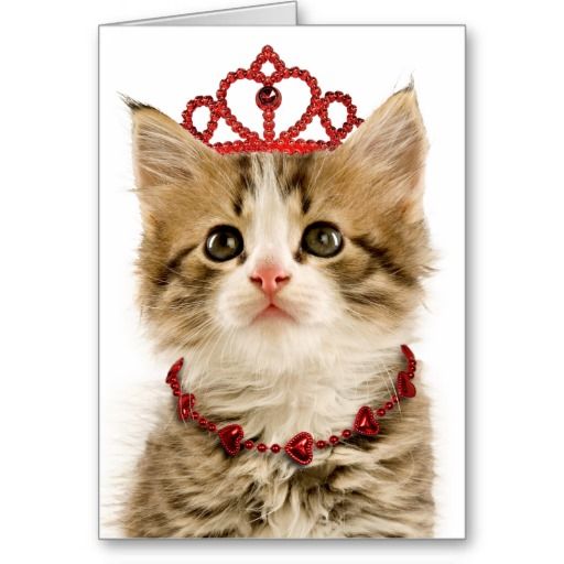 Princess Kitten Valentine's Day Card