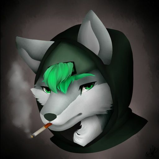 New Icon Furry Amino