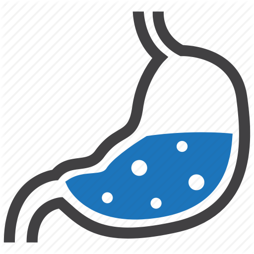 Anatomy, Digestion, Digestive, Gastroenterology, Gastrology, Organ