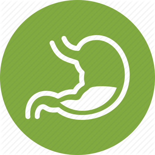 Digestion, Gastroenterology, Stomach Icon