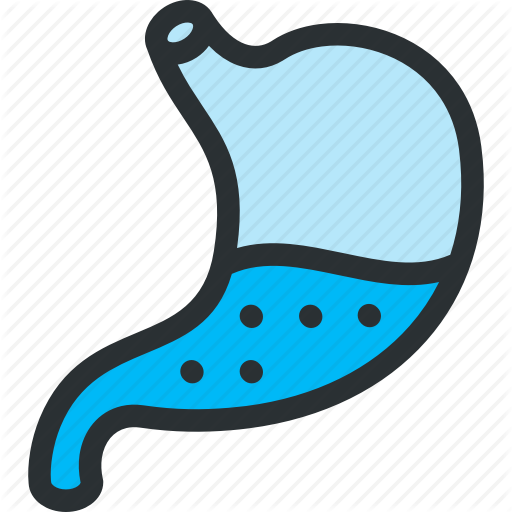 Food, Gastroenterology, Gastrology, Health, Medical, Organ