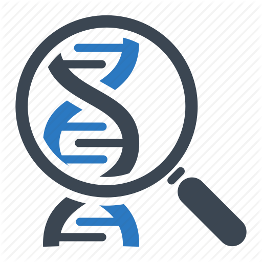 Research Zachary Rodriguez