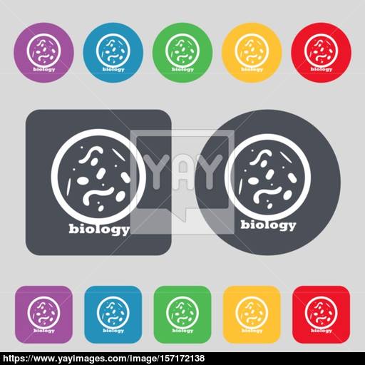 Bacteria And Virus Disease, Biology Cell Under Microscope Icon