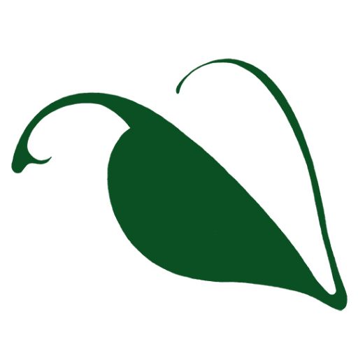 Girl Scout Programs West Virginia Botanic Garden