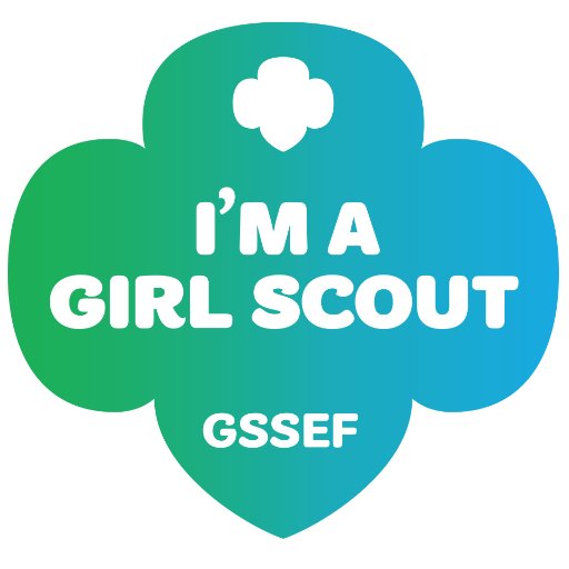 Girl Scouts Of Se Fl