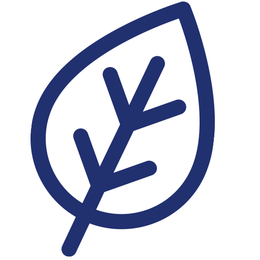 Cropped Fav Icon Foodreich Vegan Foodblog