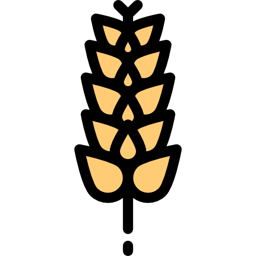 Food, Vegetable, Grain, Flour, Plant, Gluten, Food And Restaurant Icon