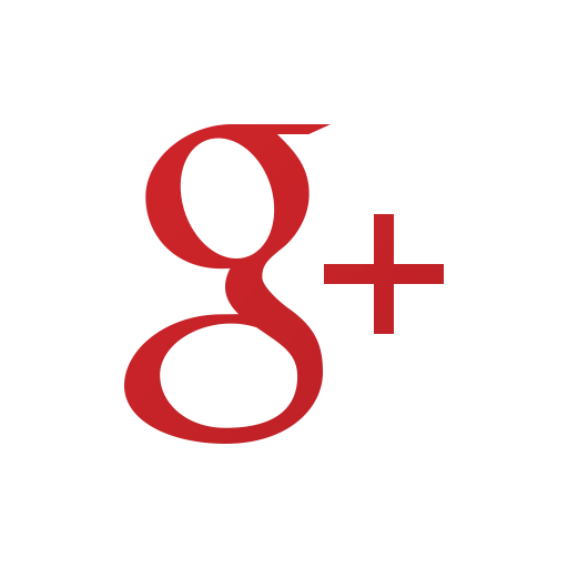 Google Icon