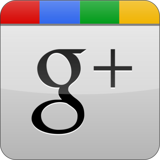 Google Plus Icon Sets Icon Ninja