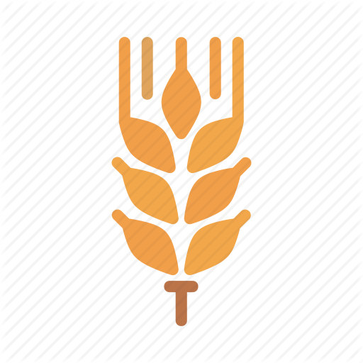Crop, Food, Gluten, Grain, Millet, Wheat, Whole Icon
