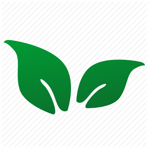 Eco, Green, Leaf, Plant, Tea Icon