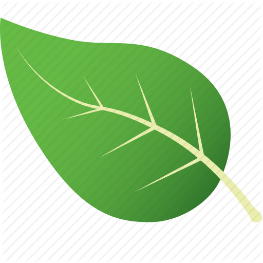 Green, Leaf, Leaves, Nature, Tree, Tropical Icon