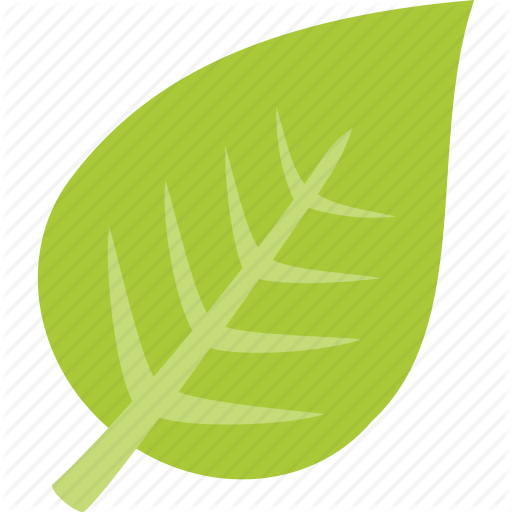 Green, Leaf Icon