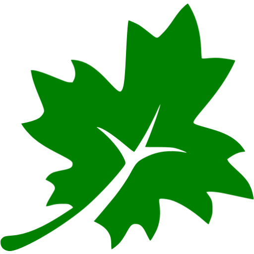 Green Leaf Icon