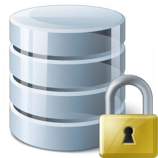 Iconexperience V Collection Data Lock Icon