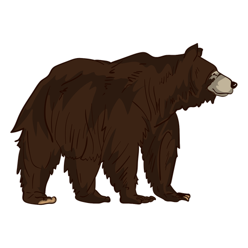Brown Grizzly Bear Cartoon