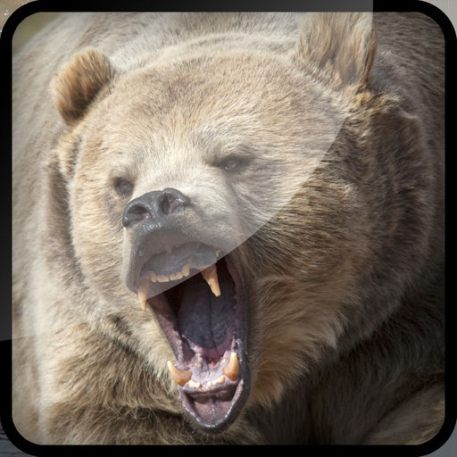 Grizzly Bear Hunt Ing Bullet Juggle Game