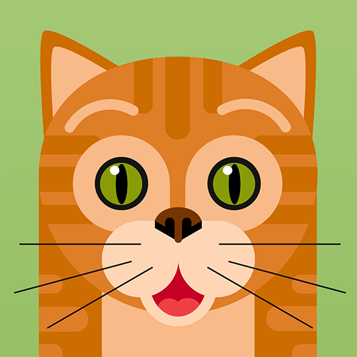 Grumpy Cat Cats Amino