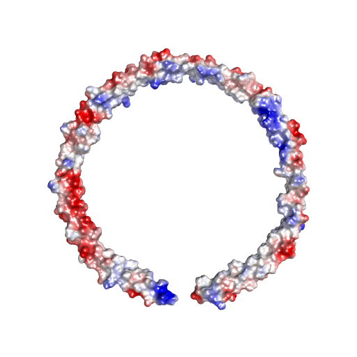 Nanodisc Nih Print Exchange