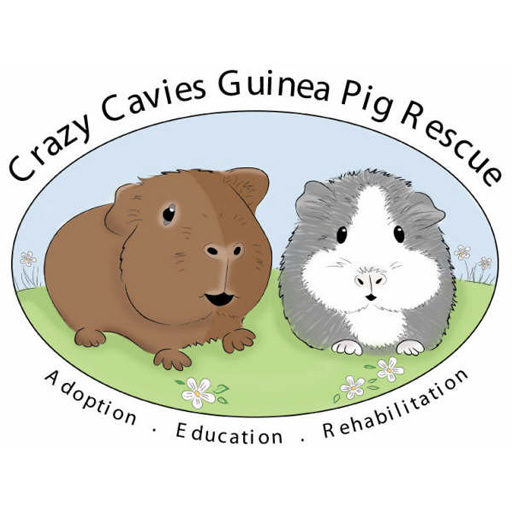 Guinea Pig Icon at GetDrawings | Free download