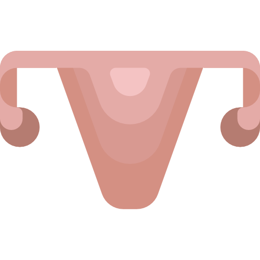 Gynecology Icon