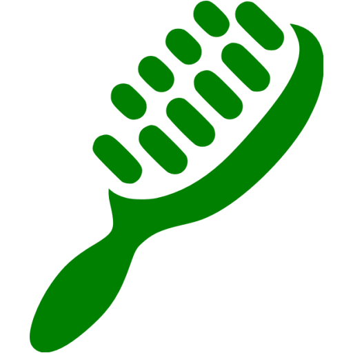 Green Hair Brush Icon