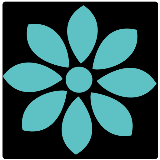 Services The Paris Beauty Bar