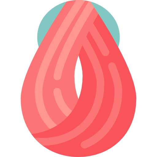 Beauty Hair Salon Icon