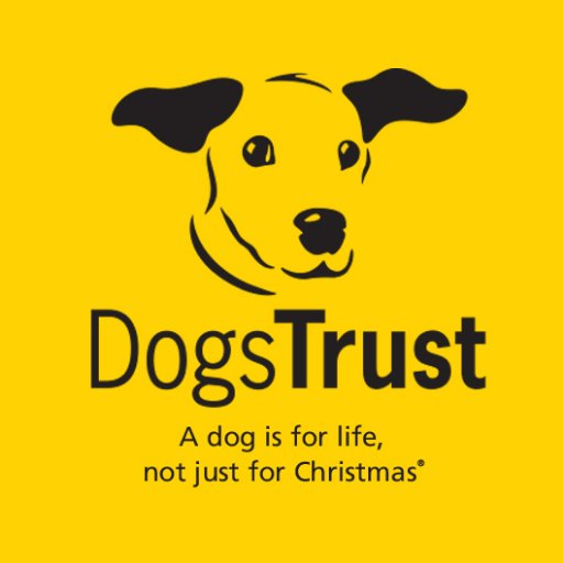 Dogs Trust On Twitter It