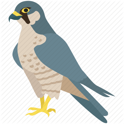 Bird, Duck, Eagle, Hawk, Peregrine Falcon, Prey Icon