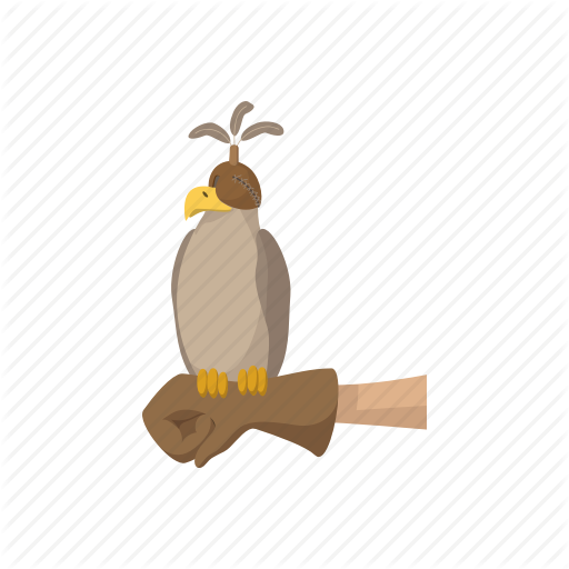 Cartoon, Eagle, Falcon, Falconer, Glove, Hawk, Hunter Icon