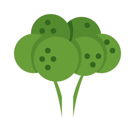 Broccoli, Food, Healthy Food Icon With Png And Vector Format