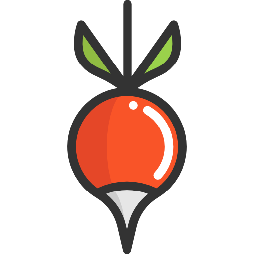 Radish, Diet, Healthy Food Icon