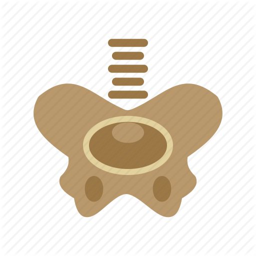 Anatomy, Hip, Human, Joint, Medical, Pelvis, Skeleton Icon