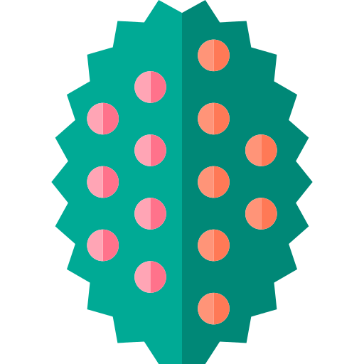 Holly Png Icon