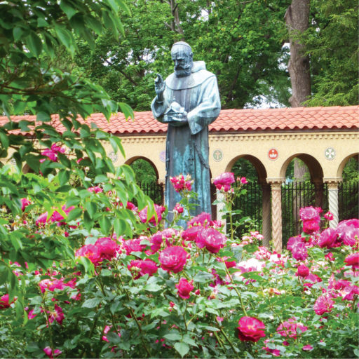 Garden Tours, Palm Cross Making Plant Sale Planning Franciscan